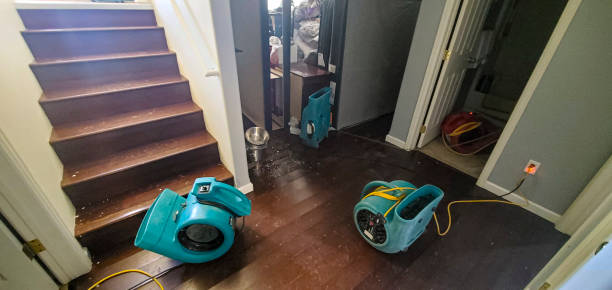 Best 24-hour water damage restoration  in Little Ferry, NJ