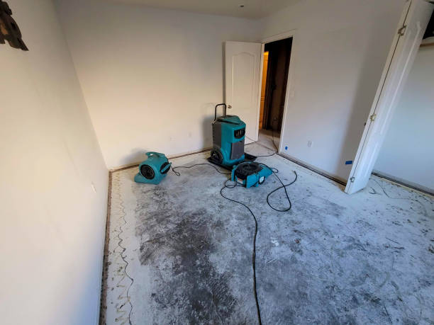 Best 24/7 water damage repair  in Little Ferry, NJ