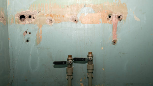 Best Local water damage restoration  in Little Ferry, NJ
